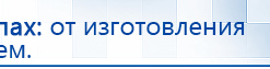 Электроды Скэнар -  двойной овал 55х90 мм купить в Голицыно, Электроды Скэнар купить в Голицыно, Нейродэнс ПКМ официальный сайт - denasdevice.ru